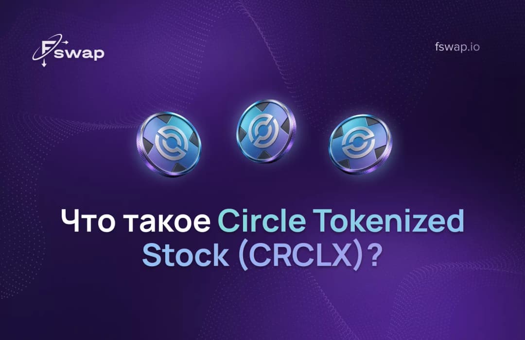 Что такое Circle Tokenized Stock (CRCLX)?